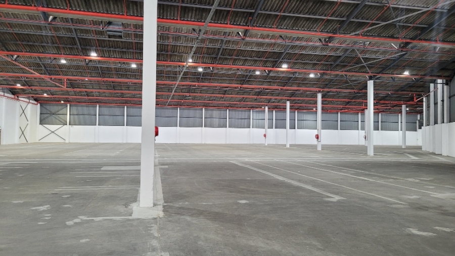 To Let commercial Property for Rent in Epping Industrial Western Cape